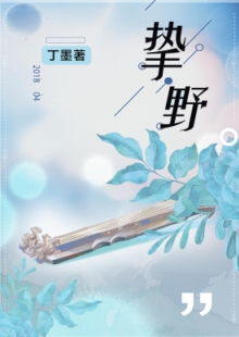 丁墨《摯野》 發(fā)表網(wǎng)站：云起書院 《摯野》將音樂筑夢與愛情圓夢巧妙地結(jié)合起來，表現(xiàn)當代青年在喧囂生活中對愛情的執(zhí)著與堅守。作品在浪漫的人生況味中隱含了積極的思想意義，情節(jié)設(shè)置出人意料又合情合理，敘事嫻熟，以獨特的浪漫意味在都市愛情寫作中自成一格。	