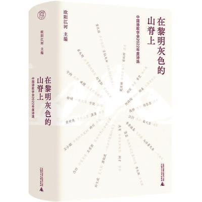 （《在黎明灰色的山脊上》歐陽(yáng)江河/主編，廣西師范大學(xué)出版社）