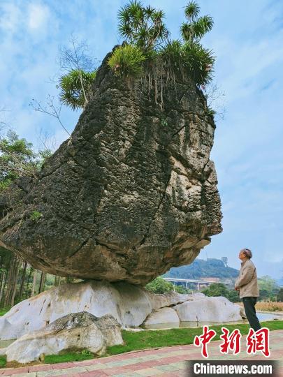 2月，農(nóng)秀琛到龍州縣上降鄉(xiāng)采風(fēng)。 農(nóng)林 攝